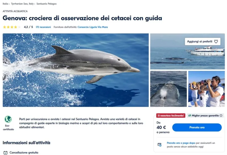 crociere avvistamento cetacei da Genova